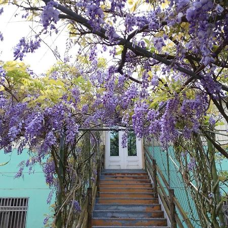Meishan Youlin Homestay מראה חיצוני תמונה