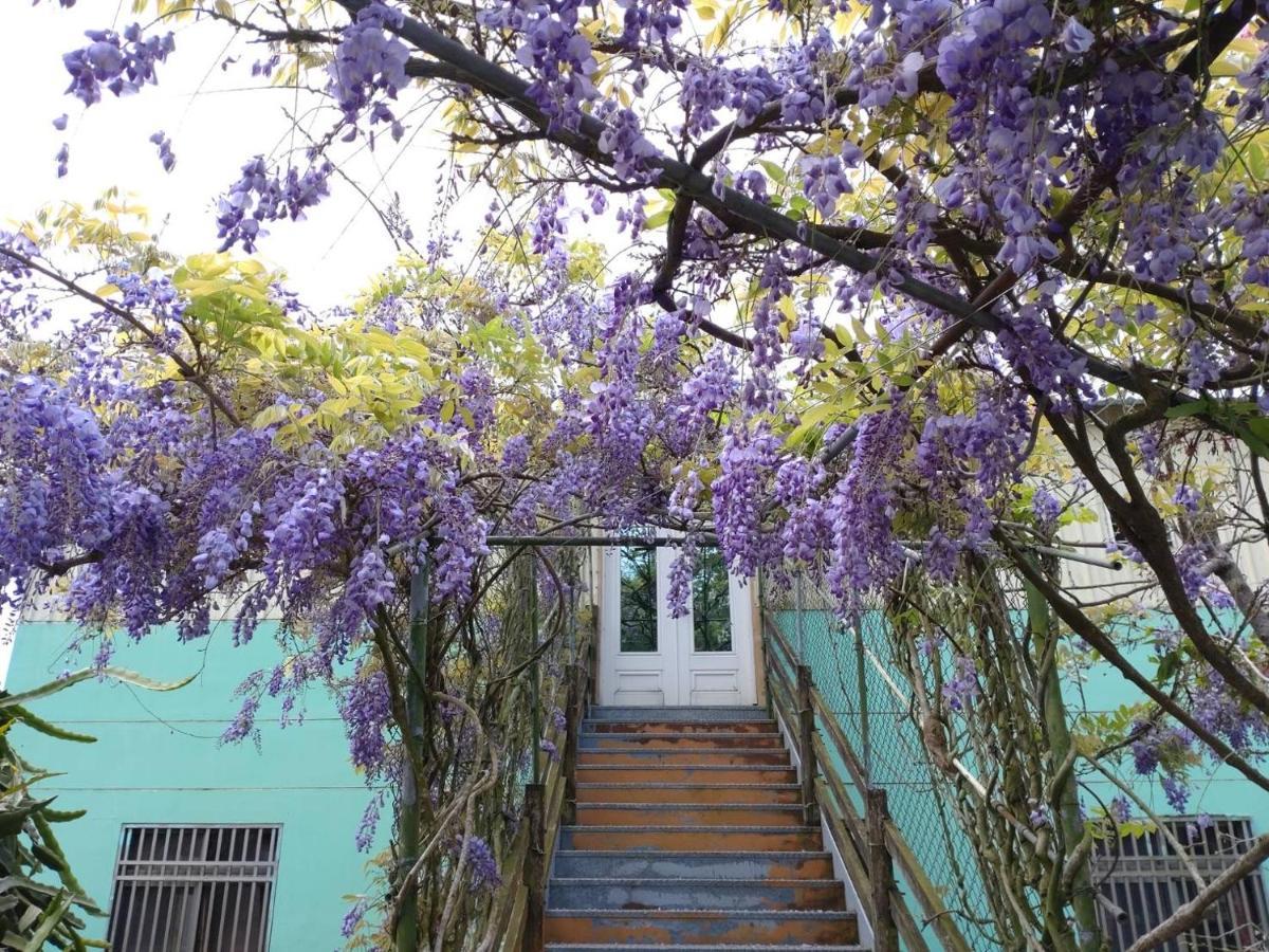 Meishan Youlin Homestay מראה חיצוני תמונה